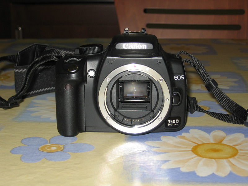 IMG_1045_1.jpg