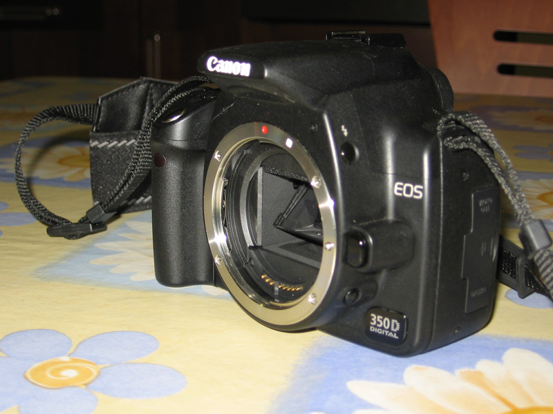 IMG_1046_1.jpg