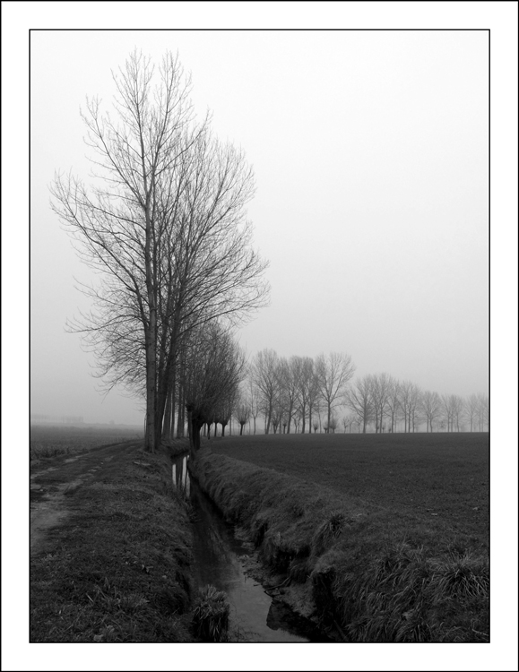 IMG_1122 bn.jpg