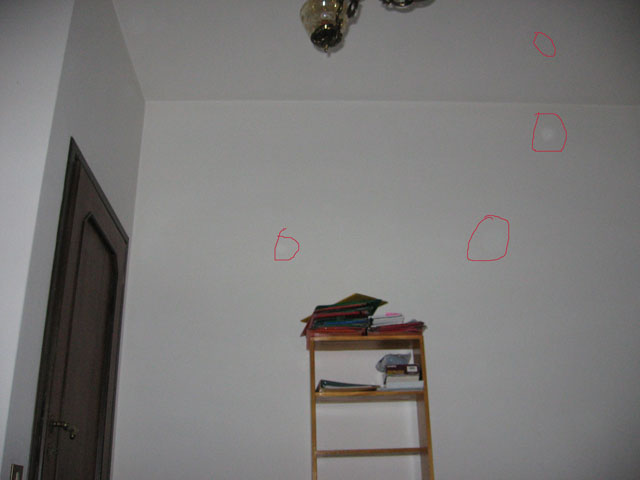 IMG_1124.jpg