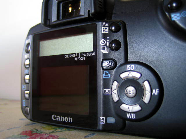 IMG_1174.JPG