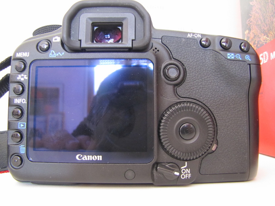IMG_1248_resize.JPG