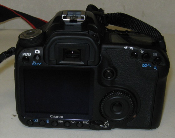 IMG_1333A.jpg
