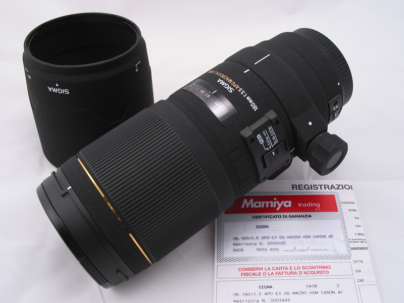 IMG_1366-web.jpg