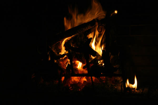 IMG_1436.jpg