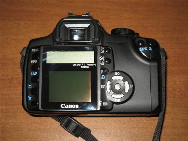 IMG_1497 (Small).JPG