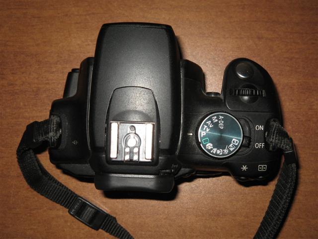 IMG_1498 (Small).JPG