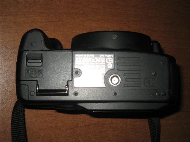 IMG_1499 (Small).JPG