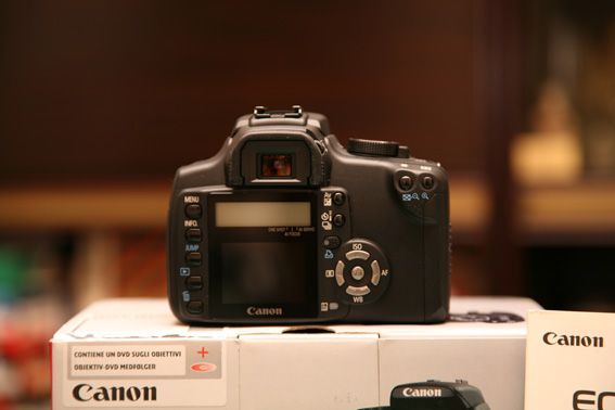 IMG_1675_1.jpg
