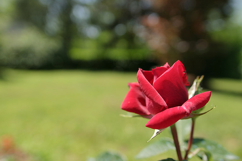 IMG_1710_small.jpg