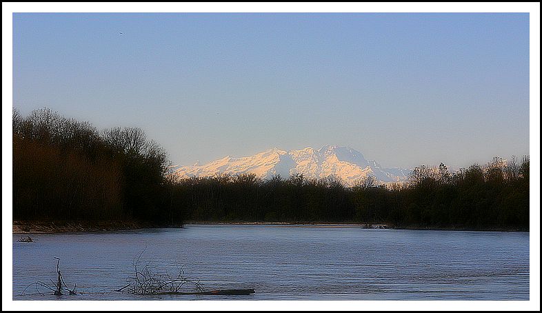 IMG_1770.jpg
