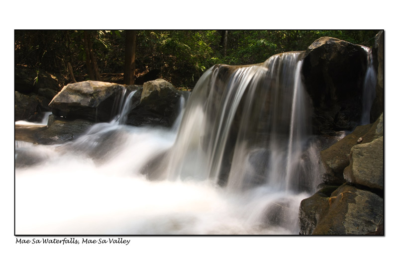 IMG_1832_new.jpg
