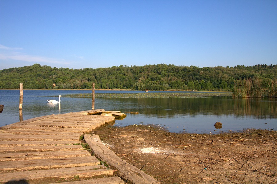 IMG_1839 px.jpg