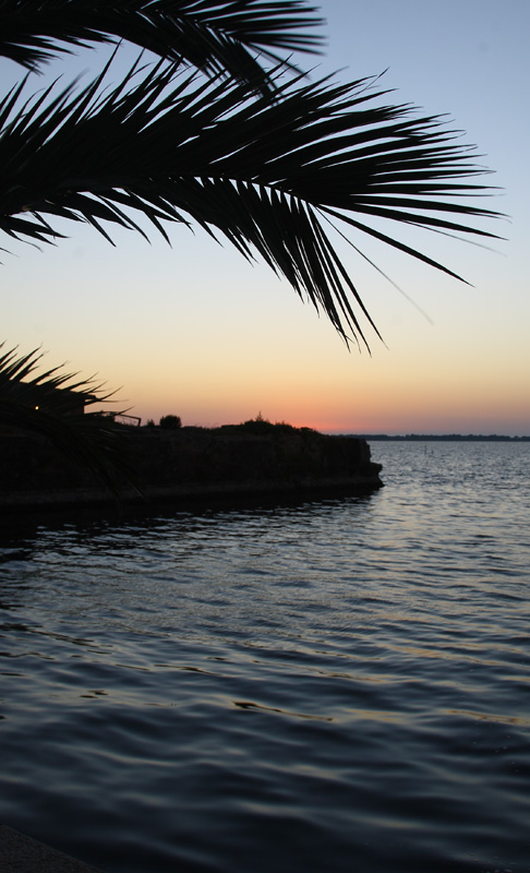 IMG_1900.jpg