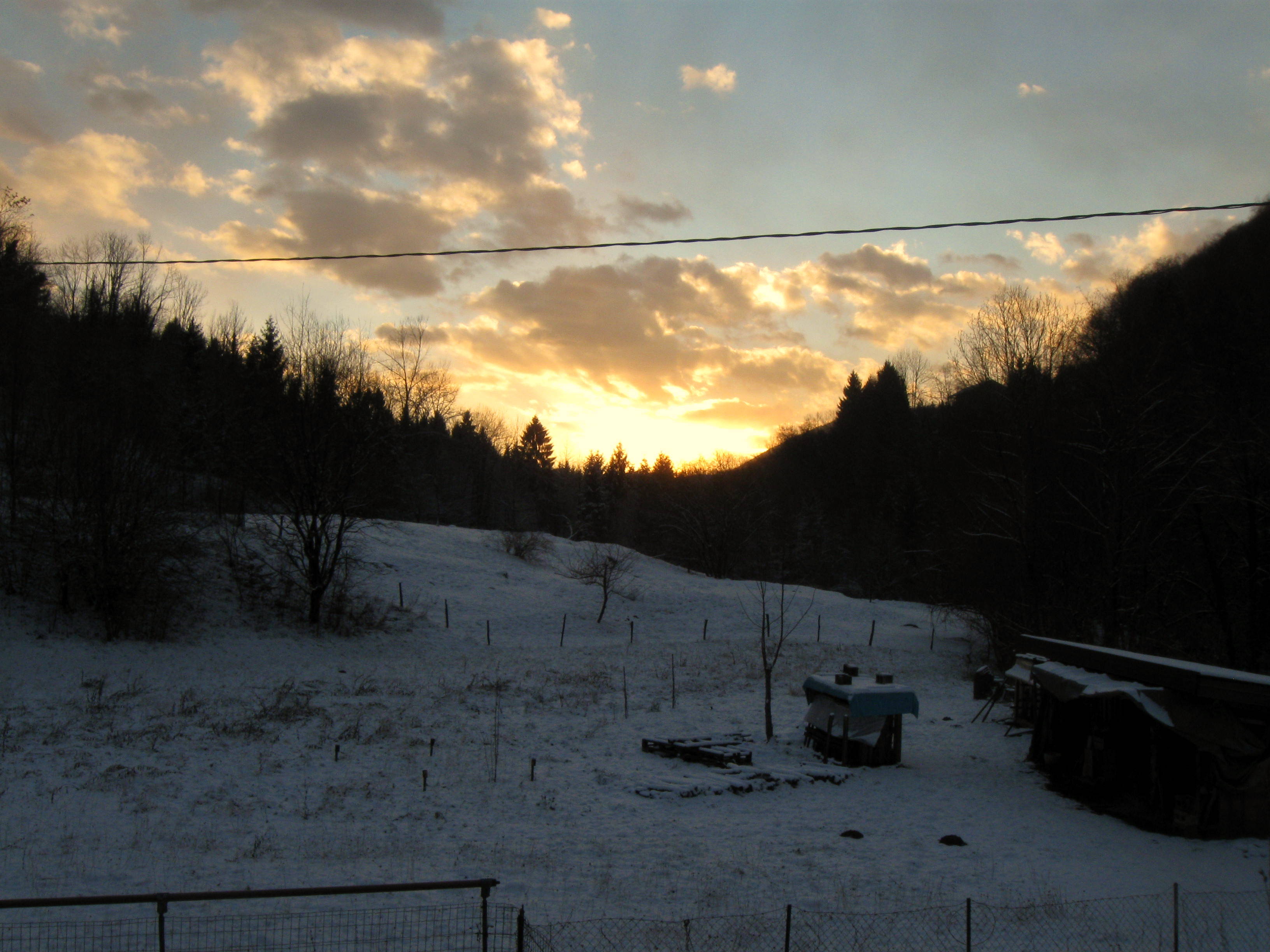 IMG_1931.JPG