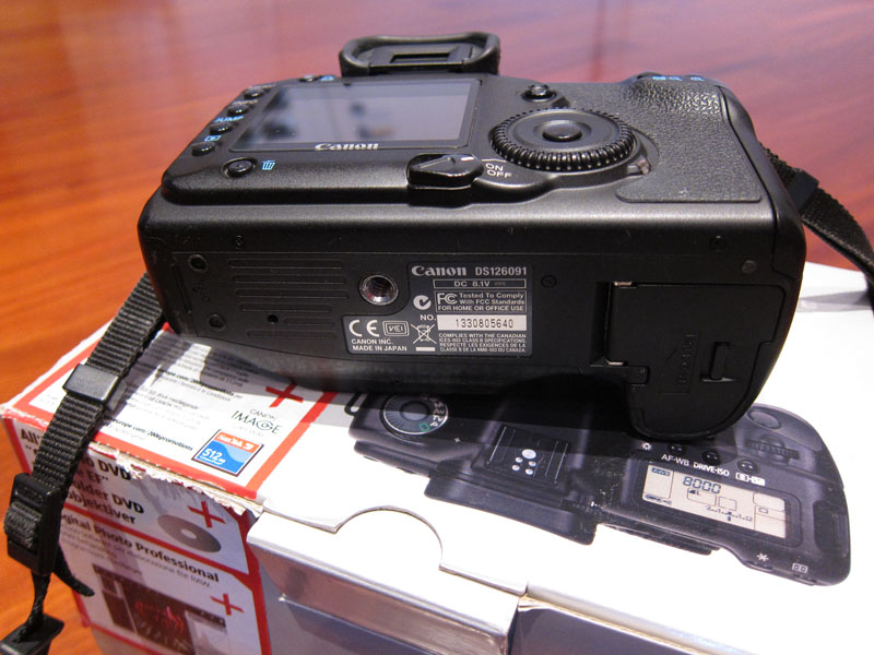 IMG_1993web.jpg