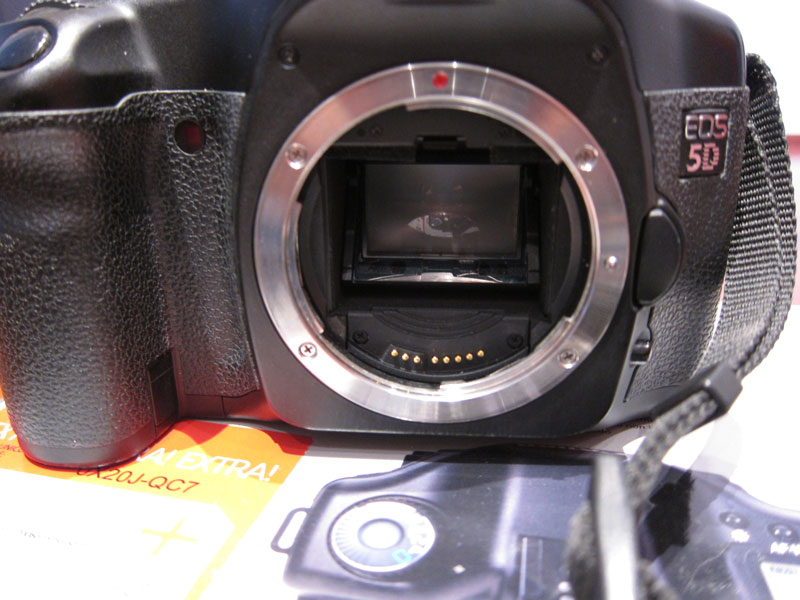 IMG_1995web.jpg