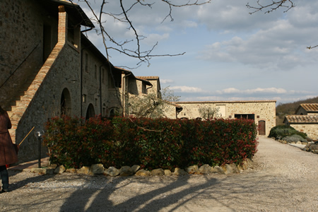 IMG_2005short.jpg