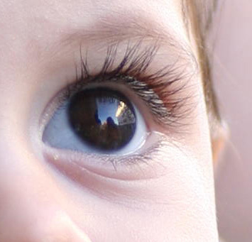 IMG_2025_crop2.jpg