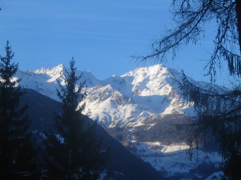 IMG_2079_Web.jpg