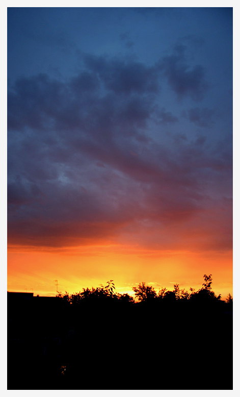 IMG_2093_LOW.jpg