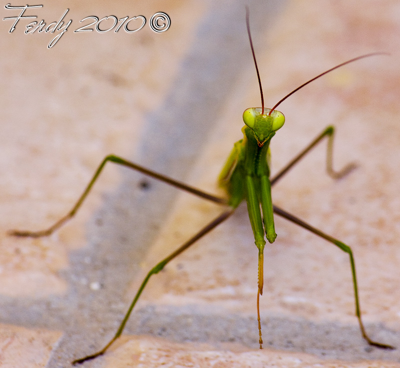 IMG_2124ok2.jpg
