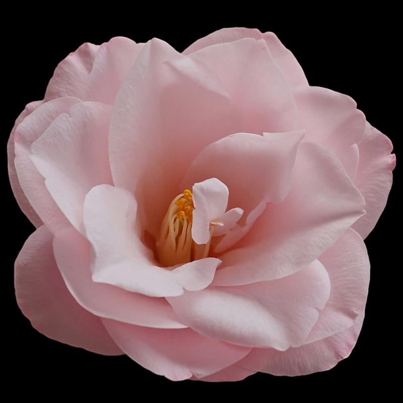 IMG_2127_rid(2).jpg