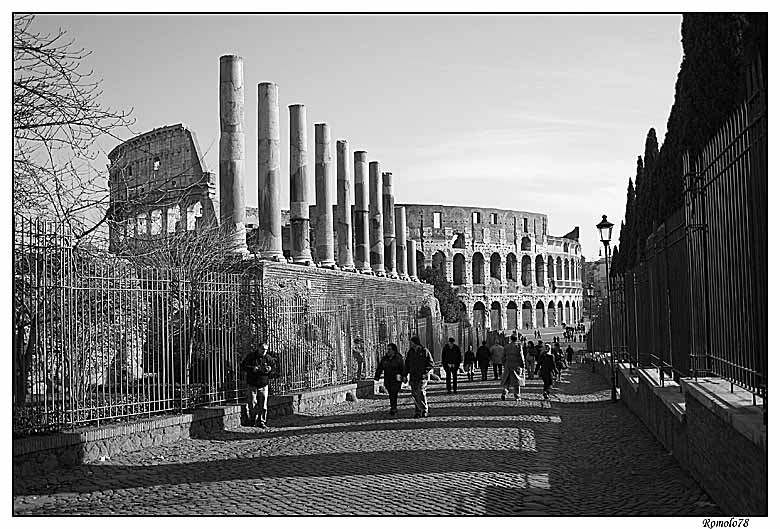 IMG_2344-copia.jpg