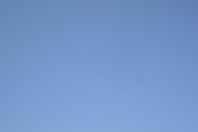IMG_2378_1.jpg