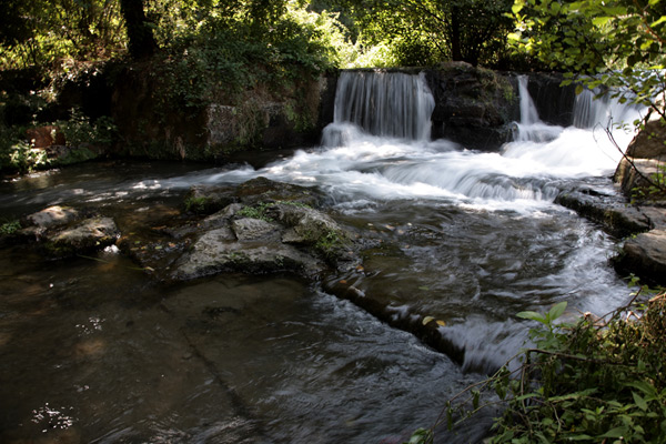 IMG_2477web.jpg