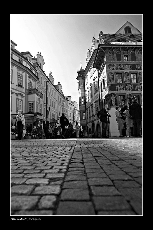 IMG_2504_small.jpg