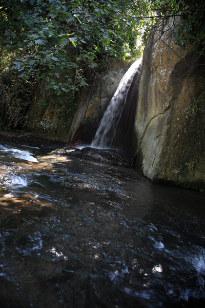 IMG_2510web.jpg