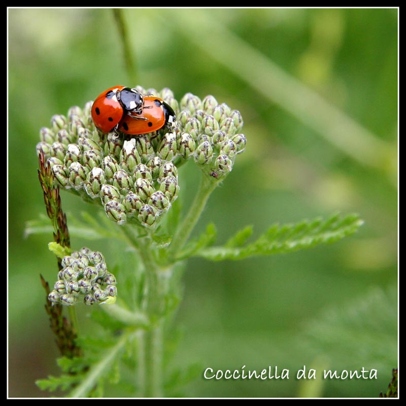 IMG_2633_for-Web.jpg