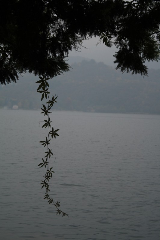 IMG_2740 c.jpg