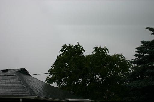 IMG_2798.jpg