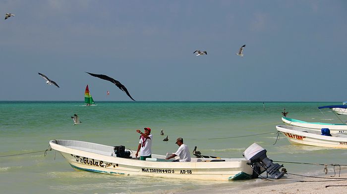 IMG_2810.JPG