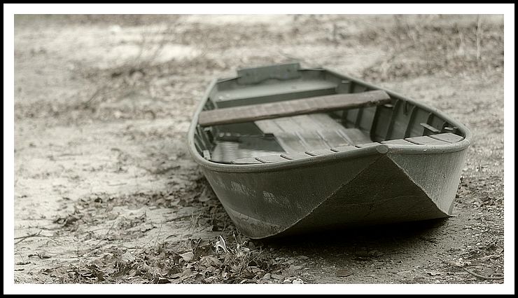 IMG_2889.jpg