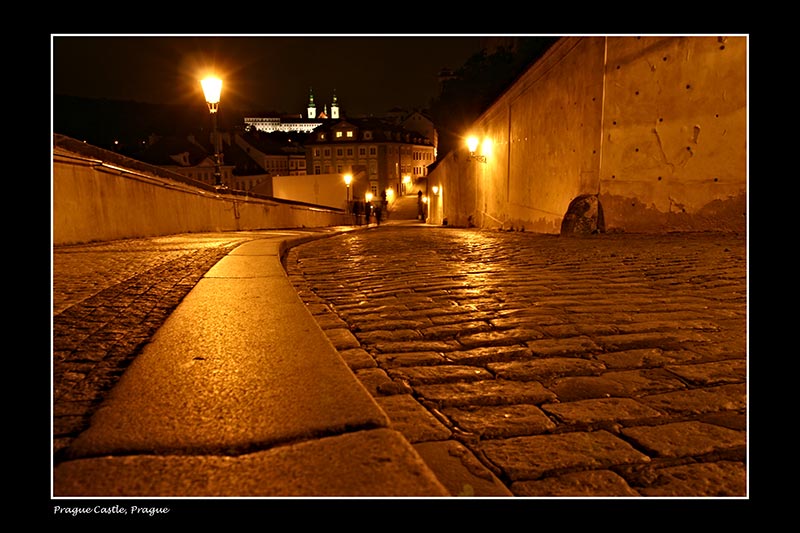 IMG_3040_small.jpg