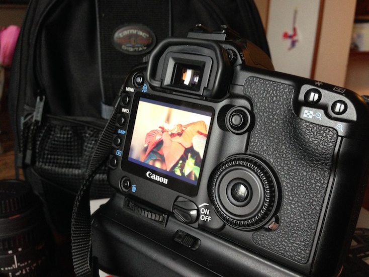 IMG_3104.jpeg