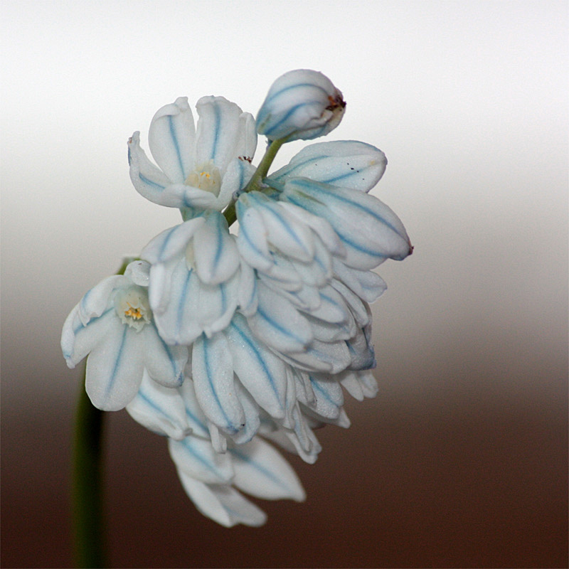 IMG_3156_rid.jpg