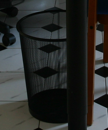 IMG_3223 crop.jpg
