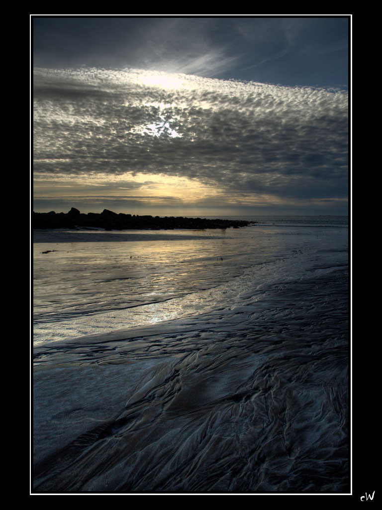 IMG_3256tm.jpg