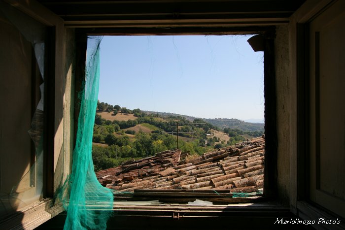IMG_3278_web.jpg