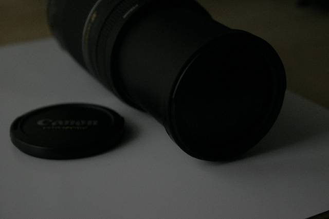 IMG_3287.JPG