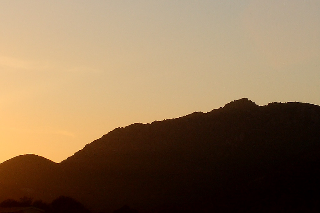 IMG_3288 bis crop.JPG