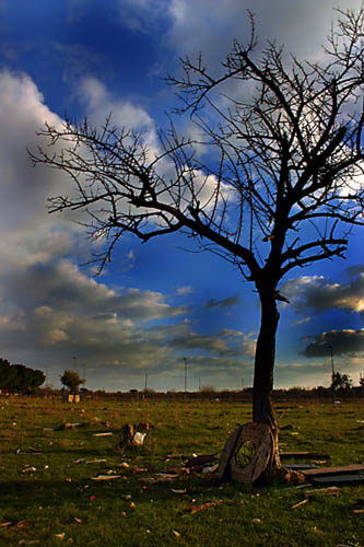 IMG_3341mpicpic.jpg