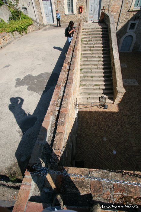 IMG_3389_web.jpg