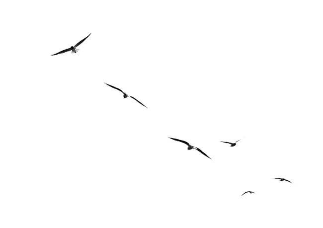 img_3426__3__187.png