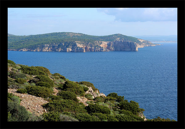 IMG_3523_1-copia.jpg