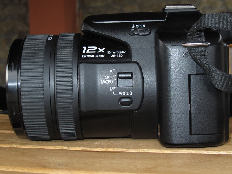 IMG_3529_size.jpg